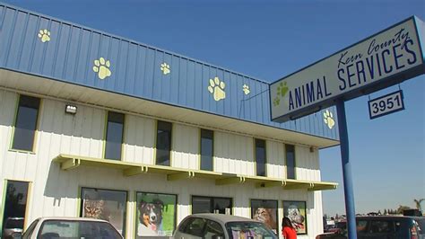 Kern County Animal Shelter .